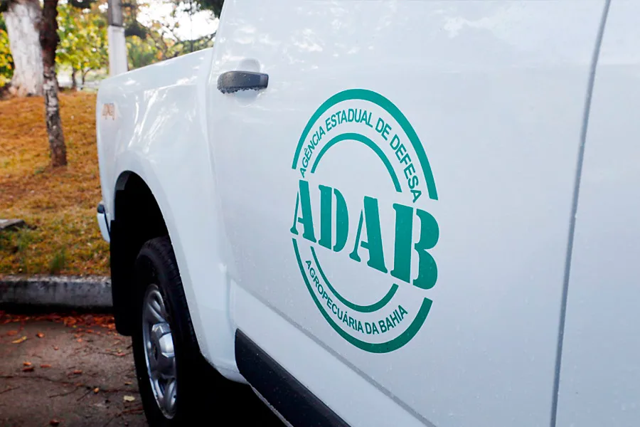 Governo republica edital de inscrição para concurso da Agência Estadual de Defesa Agropecuária da Bahia