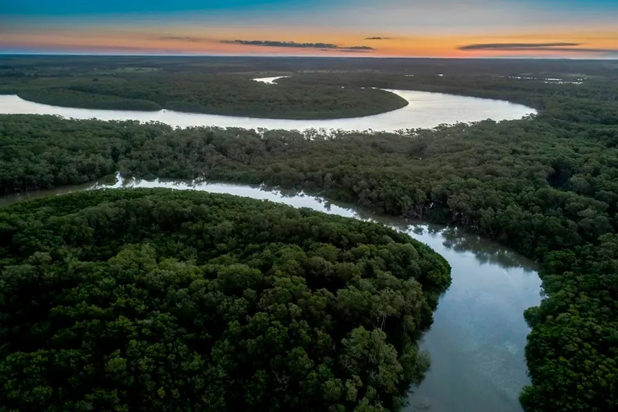 Suzano avança com corredores ecológicos entre a Bahia e o Espírito Santo