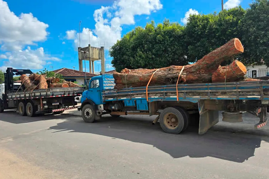 Presos três suspeitos de furto de madeira; dois caminhões e dois motosserras foram apreendidos