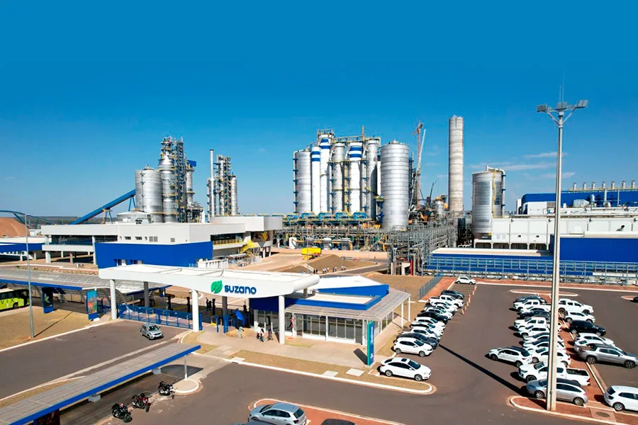 Suzano vende 12,7 milhões de toneladas de celulose pela primeira vez na história
