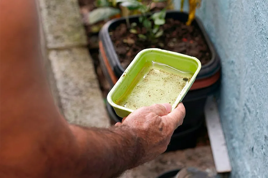 Bahia registra queda de 41% nos casos de dengue em 2026