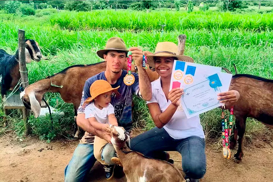 Baiana ganha cabra como salário, vira produtora de queijo e acumula medalhas com produtos premiados