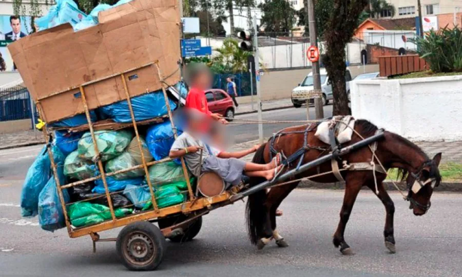 Fim das carroças? Proibição avança no Brasil ao unir proteção animal e inclusão