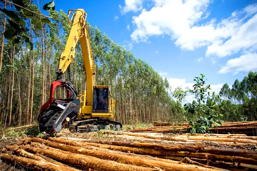 Mês do Meio Ambiente: Suzano garante descarte correto de baterias nas operações florestais