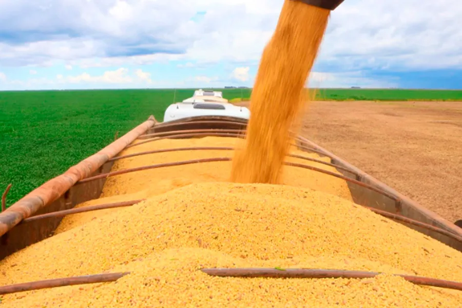 PIB do agronegócio baiano totalizou R$ 19,2 bi no 1º trimestre de 2026