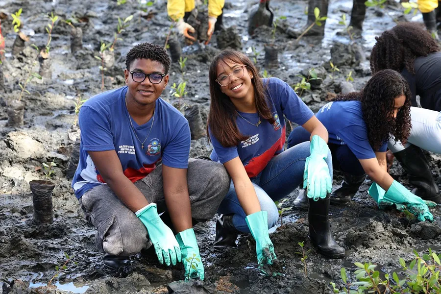 Estudantes da rede estadual plantam 3 mil mudas de mangue em trecho do VLT no Subúrbio Ferroviário