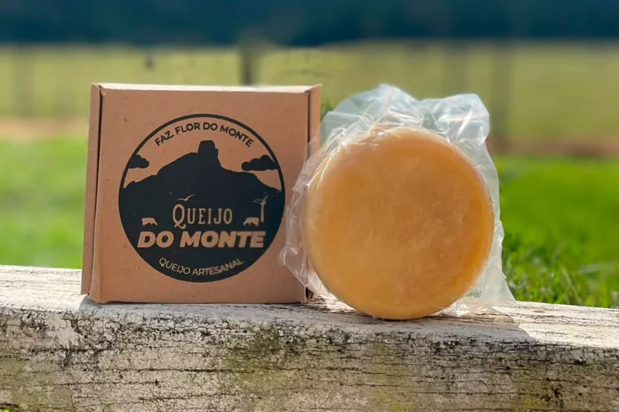 Queijarias do Extremo Sul conquistam o Melhor Queijo da Bahia e nove medalhas no Prêmio Queijo Brasil Queijarias do Extremo Sul conquistam o Melhor Queijo da Bahia e nove medalhas no Prêmio Queijo Brasil