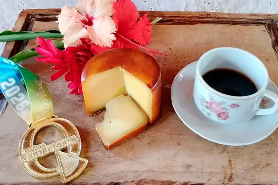 Queijarias do Extremo Sul conquistam o Melhor Queijo da Bahia e nove medalhas no Prêmio Queijo Brasil