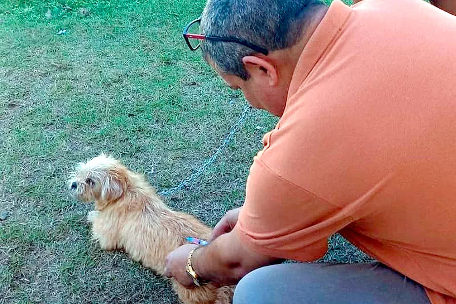Dia D de Vacinação antirrábica imuniza mais de mil animais em Mucuri e Itabatã