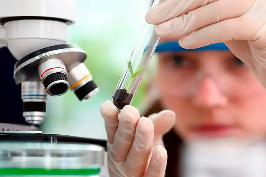 Prêmio para mulheres e meninas cientistas abre inscrições até outubro