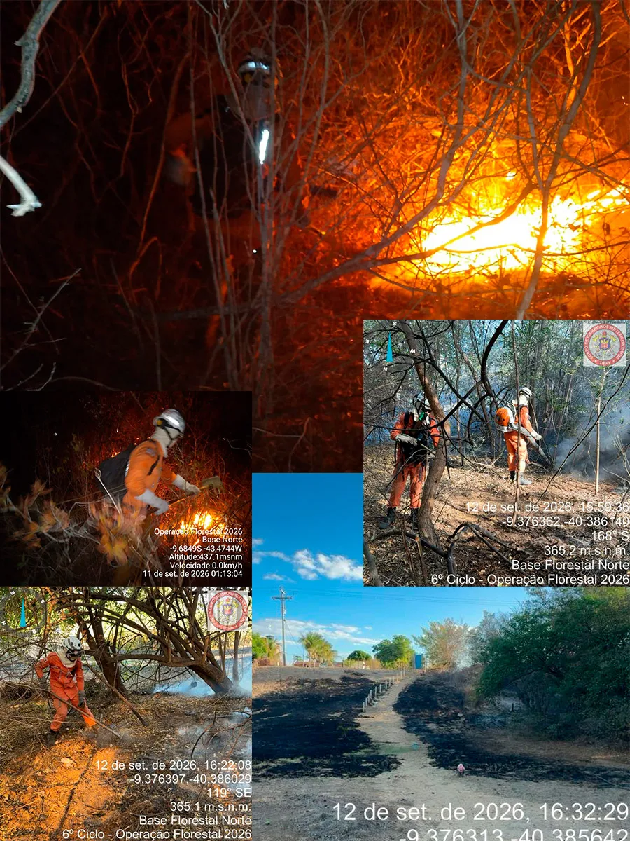 Estado intensifica combate a incêndio florestal e protege comunidades no Norte baiano