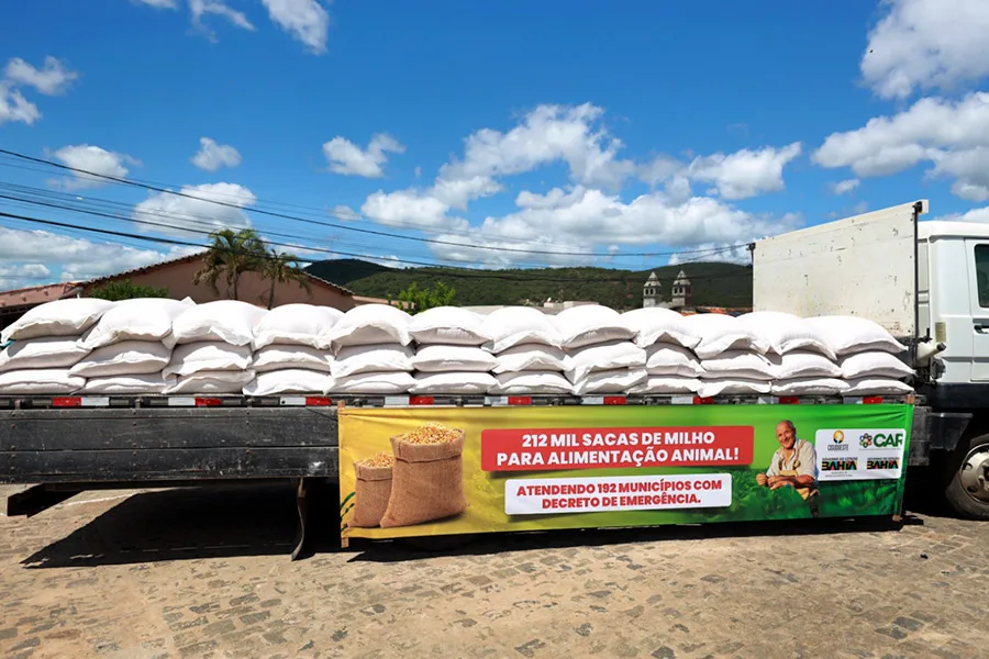 Bahia articula apoio federal para enfrentar efeitos do El Niño