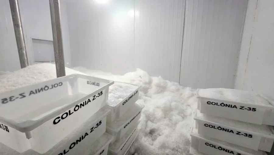 Fábrica de Gelo de Mucuri é inaugurada em parceria entre Suzano, Prefeitura e Colônia de Pescadores Fábrica de Gelo de Mucuri é inaugurada em parceria entre Suzano, Prefeitura e Colônia de Pescadores
