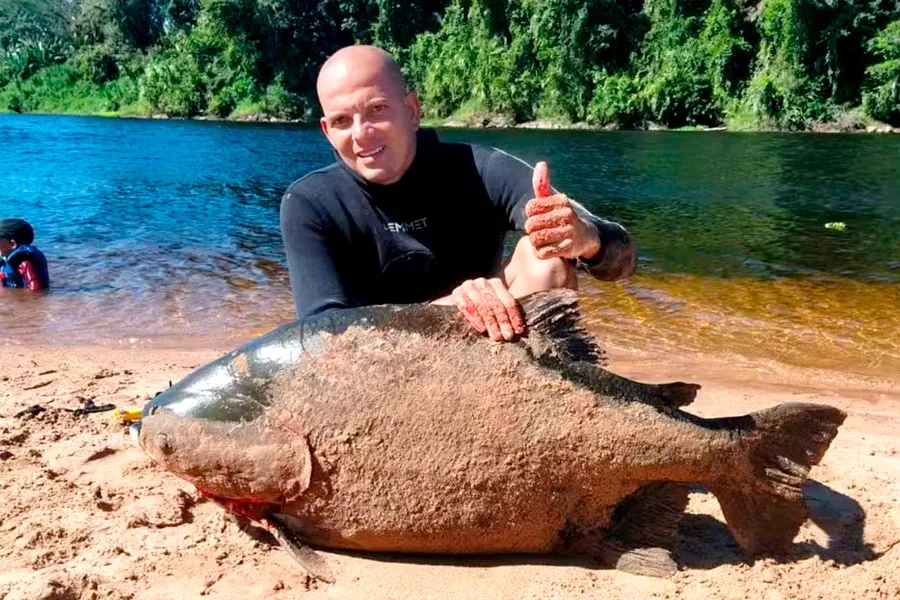  Homem pesca Tambaqui de 46 kg e brinca que peixe é maior que filho de 5 anos