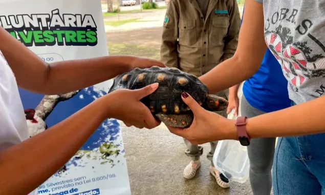 ”Animal silvestre não é pet”: campanha inspira novos olhares sobre a natureza