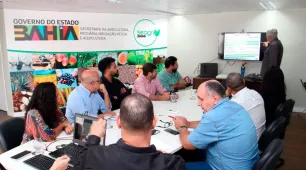 Bahia discute ações de prevenção e combate à mosca da carambola