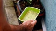 Bahia registra queda de 41% nos casos de dengue em 2026