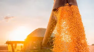 Bahia tem oito cidades entre as 100 mais ricas do agro no Brasil