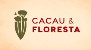 Cacau e Floresta: projeto fortalece agricultores e gera oportunidades no campo