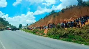 Caminhão com 100 bovinos tomba na BR-101; carga é saqueada e motorista sai ileso