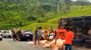 Carreta que levava carne para Porto Seguro tem carga saqueada após tombar