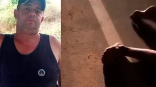 Motociclista morre em colisão com animal na BA-290