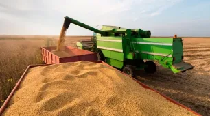 Conab prevê safra de grãos da Bahia acima das expectativas iniciais de produção e produtividade