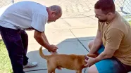 Dia D de Vacinação antirrábica imuniza mais de mil animais em Mucuri e Itabatã