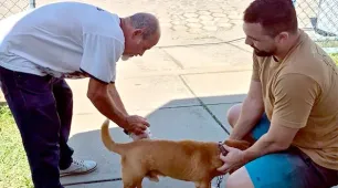 Dia D de Vacinação antirrábica imuniza mais de mil animais em Mucuri e Itabatã