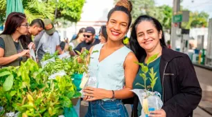 Drive Thru distribui mais de 400 mudas nativas da Mata Atlântica