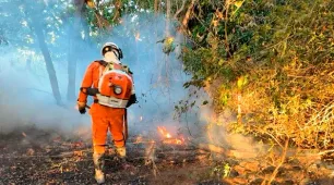 Estado intensifica combate a incêndio florestal e protege comunidades no Norte baiano