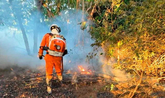 Estado intensifica combate a incêndio florestal e protege comunidades no Norte baiano