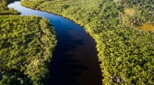 Fundo Amazônia tem nova doação de US$ 60 milhões da Noruega