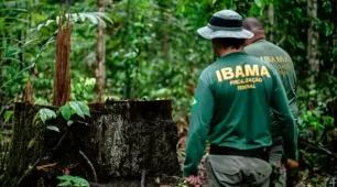 IBAMA e ICMBio vão oferecer 810 vagas em novos concursos