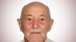 Idoso de 86 anos morre após ataque de abelhas em zona rural de cidade do sudeste da Bahia