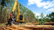 Mês do Meio Ambiente: Suzano garante descarte correto de baterias nas operações florestais