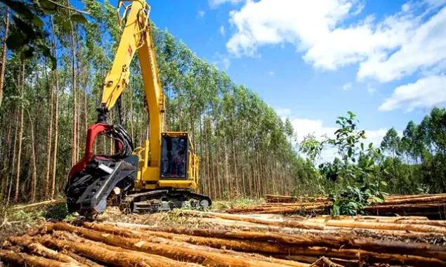 Mês do Meio Ambiente: Suzano garante descarte correto de baterias nas operações florestais