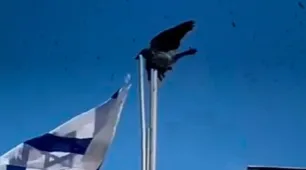 Milhares de corvos se espalham pelo céu de Tel Aviv: 'Presságio de desgraça'