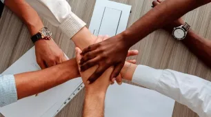 Modelo de Inovação da Suzano vira estudo de caso para comunidade global
