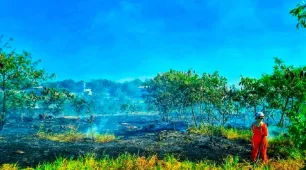 Onda de calor: alerta máximo para incêndios no Extremo Sul da Bahia
