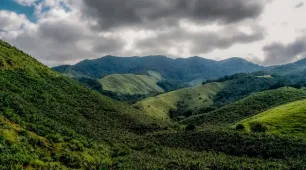 Operação contra o desmatamento da Mata Atlântica começa em 17 estados