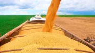 PIB do agronegócio baiano totalizou R$ 19,2 bi no 1º trimestre de 2026