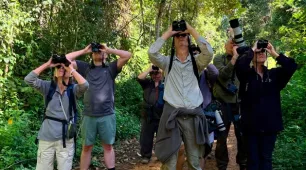 Potencial da Bahia para o turismo de observação de aves atrai operadores de viagens internacionais