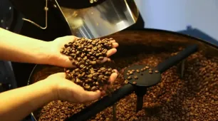 Preço do café cai pela primeira vez depois de 18 meses, diz IBGE