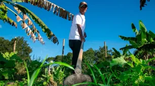Prefeitura publica edital para aquisição de alimentos da Agricultura Familiar 2025 
