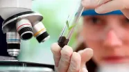 Prêmio para mulheres e meninas cientistas abre inscrições até outubro