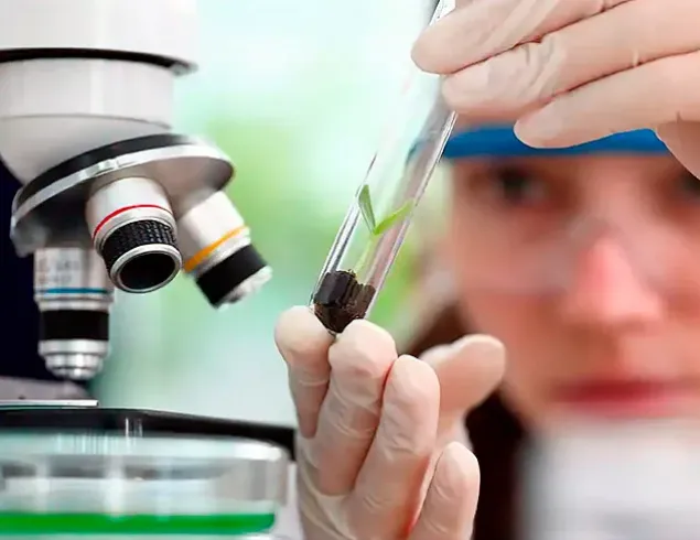 Prêmio para mulheres e meninas cientistas abre inscrições até outubro