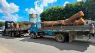 Presos três suspeitos de furto de madeira; dois caminhões e dois motosserras foram apreendidos