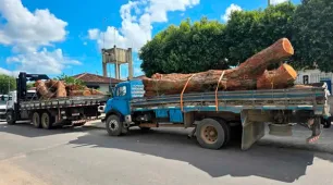 Presos três suspeitos de furto de madeira; dois caminhões e dois motosserras foram apreendidos