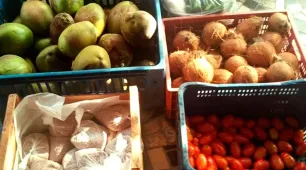 Programa de Aquisição de Alimentos reinicia em Mucuri contemplando famílias vulneráveis